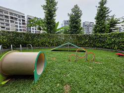 Sengkang Grand Residences (D19), Apartment #527638791